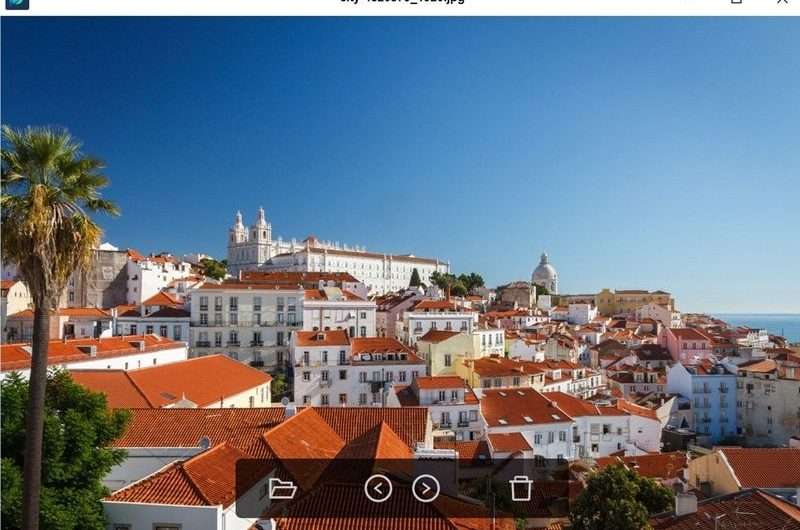 LeafView 3.6.4