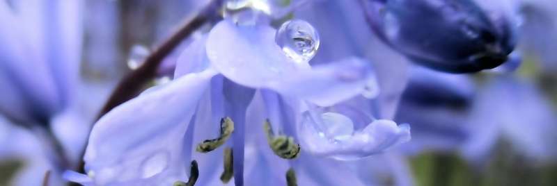 Topaz Clean 3.2.0 от 06.10.2017